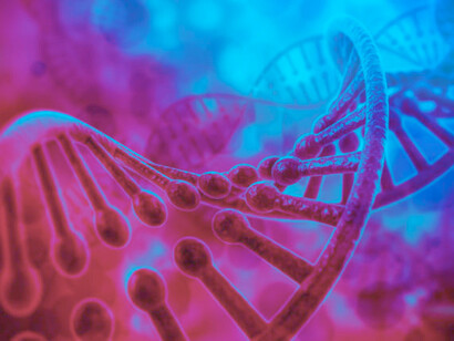 Representación gráfica de varios segmentos de ADN