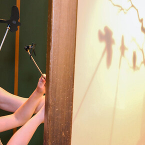 A Bird’s World. Courtesy of Museum of Science 