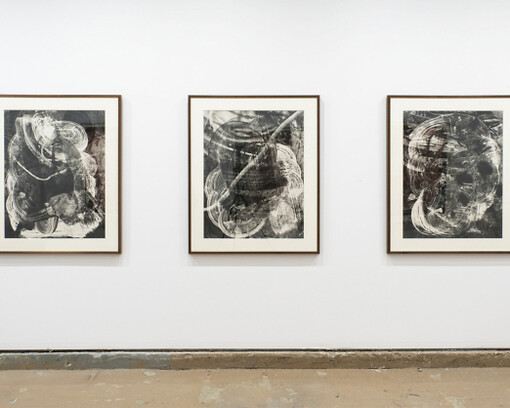 Wil Murray, Exhibition view. Courtesy of Vitrine
