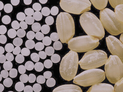 Sake rice: while sake is referred to as a rice wine, the process is more similar to brewing beer