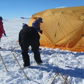 Antarctic Dinosaurs. Courtesy of Field Museum