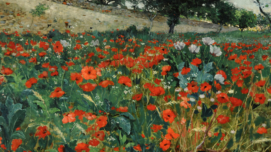 Julius Rolshoven (American, 1858-1930), Field of Poppies, 1887, oil on canvas, 33 ½ x 53 in., The Jean and Graham Devoe Williford Charitable Trust