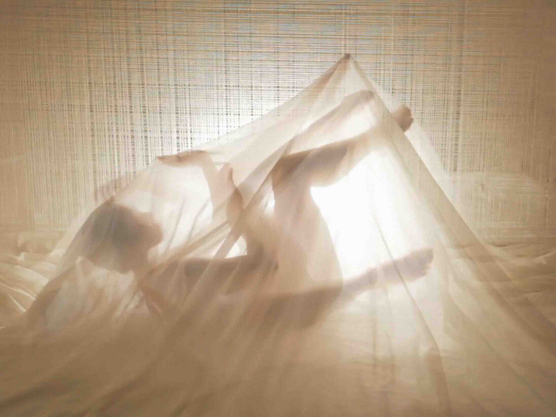 Bongsu Park, CORE, 2014, single channel HD video, 6'34'', Editions of 3, 2 AP