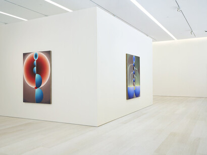 Loie Hollowell. Courtesy of Pace Gallery
