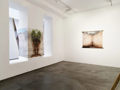 Leyla Cárdenas, Posibles bifurcaciones, vista de exhibición. Cortesía de la Galería Max Estrella