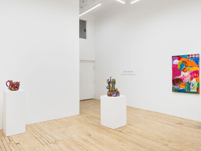 Dena Novak, Domestic saturation, exhibition view. Courtesy of Shrine 