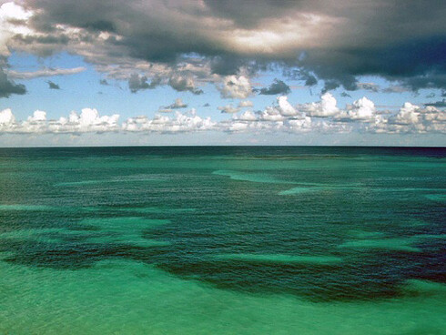 L'acidificazione degli oceani