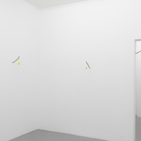 Mathew Hale, Exhibition view. Courtesy of Michel Rein