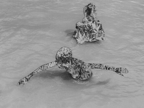 Broomberg & Chanarin, Magic and the state #7, To Photograph the Details of a Dark Horse in Low Light