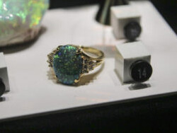 Wertz Gallery. Courtesy of Carnegie Museum of Natural History