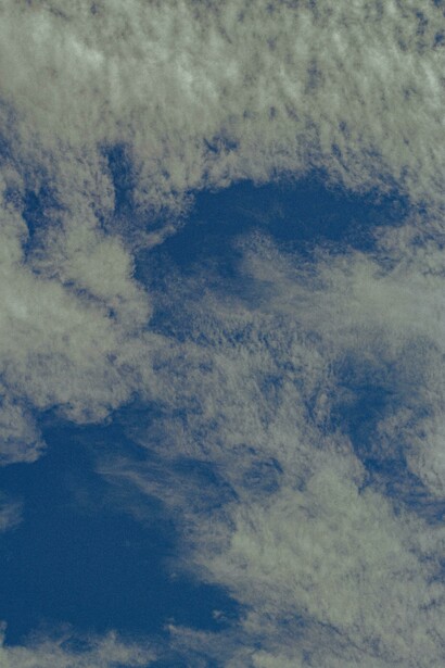 Entre o céu e a contemplação: Testemunhando momentos de auto acolhimento, onde o nascer do sol pinta o céu e a vegetação em cores suaves