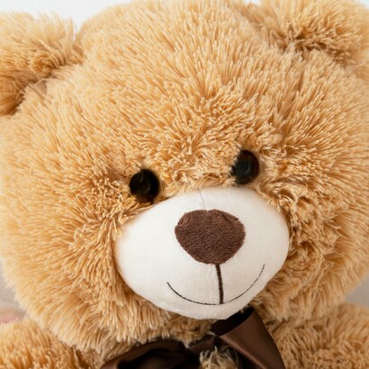 L'orsetto Teddy, usato per insegnare la lingua inglese nella Scuola dell'Infanzia Luzio di San Severino Marche, Italia