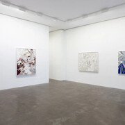 Ryan Wallace, Second skin, exhibition view. Courtesy of Susan Inglett Gallery