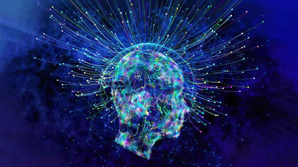 The field of neuroscience includes several approaches