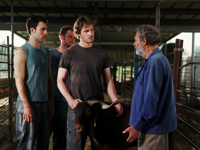 A Rooted Wandering. Courtesy of Praz-Delavallade