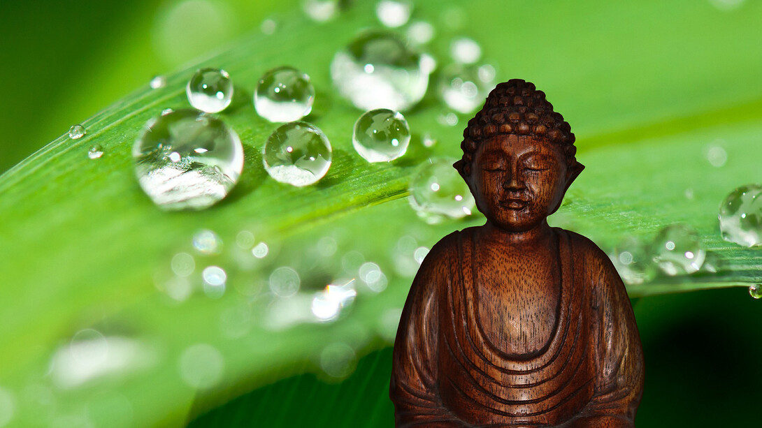 Yoga et Méditation