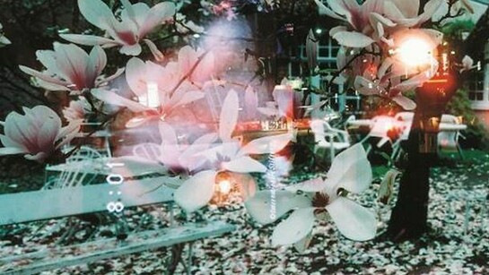 Orléans+Tsukuda, 2006, c-print (multiple exposure). Published in Omotegami, Shichosha, 2008. © Gozo Yoshimasu and Shichosha