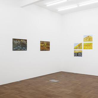 Carla Grunauer, Lumbres, exhibition view. Courtesy of Piedras Gallery