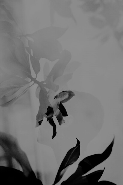 Beside a symphony of pristine white flowers, a woman exudes an aura of purity and poise