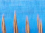 Stefano Nicolini. Piscine