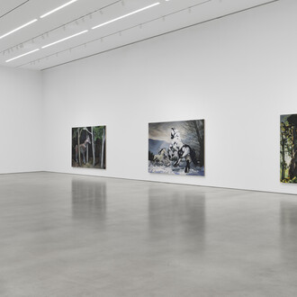 Emma Webster, Rues and leaves themselves alone, exhibition view. Courtesy of Petzel Gallery