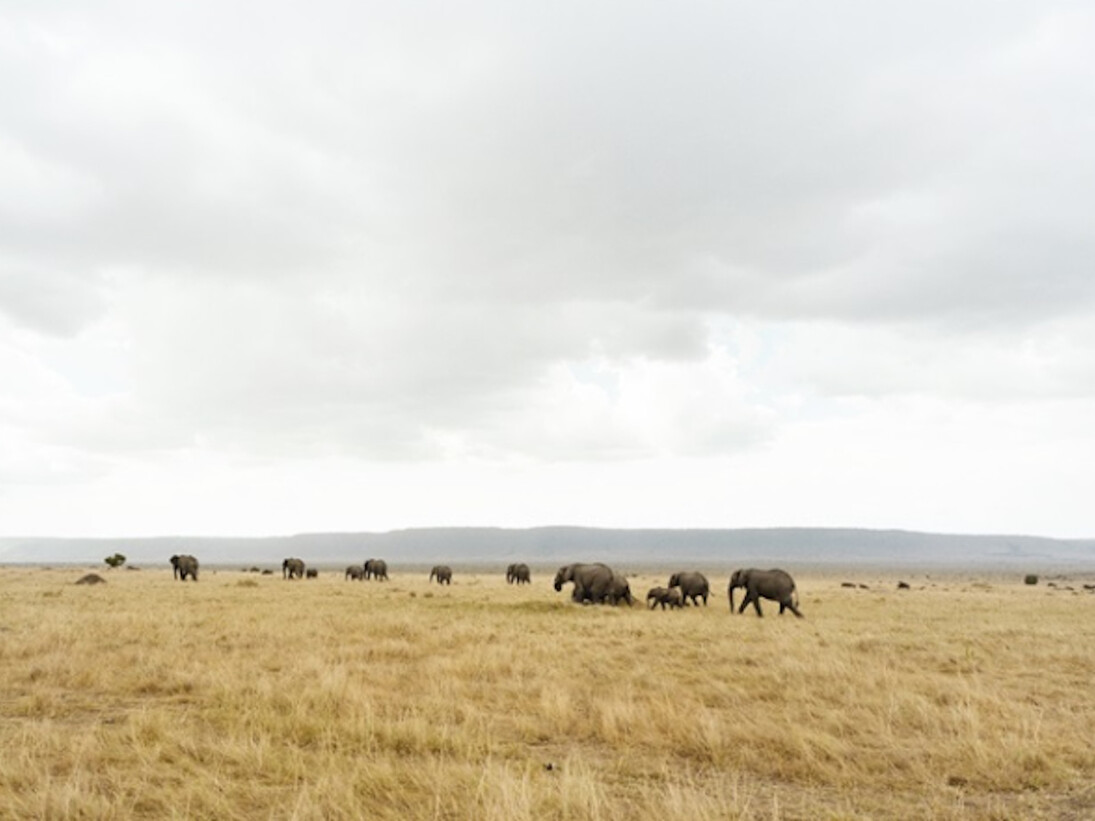 Horizons. Courtesy of Polka Galerie