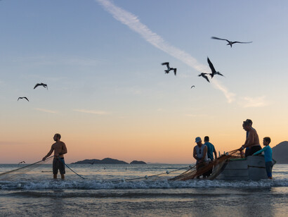 Olhos brilham em busca daquilo que parecia ser uma presa fácil para homens valentes