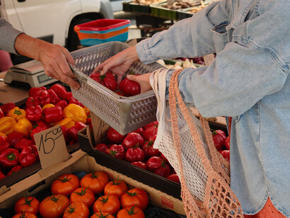 Diet shapes the gut microbiome, which then produces chemicals that communicate with the brain through the microbiota-gut-brain axis