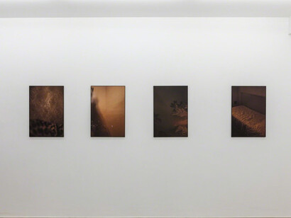 Peter Waterschoot. Courtesy of Galerie Zwart Huis