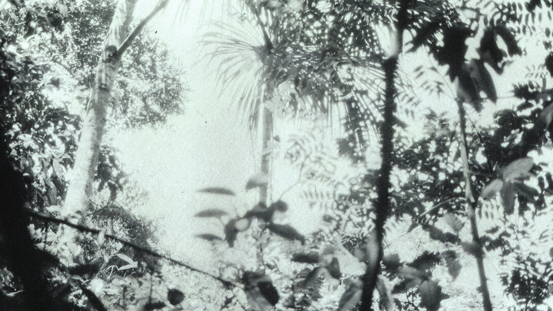 Luzia Simons. Courtesy of Circle Culture Gallery