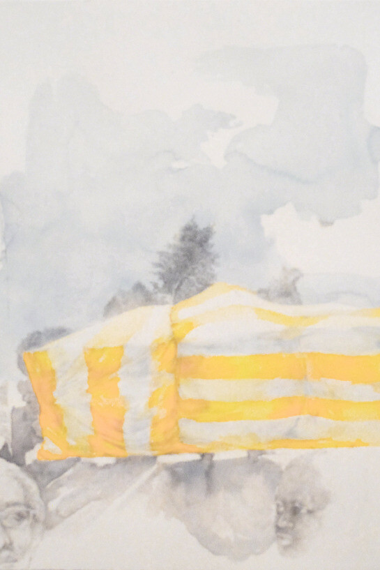 Kelly McLane. Courtesy of Denk gallery 