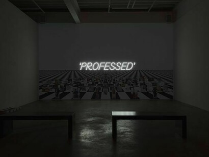 Frances Stark, installation views. Photos by Mark Woods