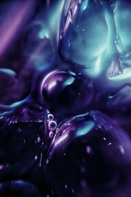 Cellule