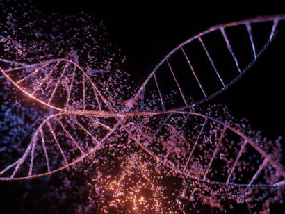 Explore the fascinating relationship between genetics and taste preferences with a visually engaging "DNA strands image," unveiling the genetic symphony that guides our culinary choices
