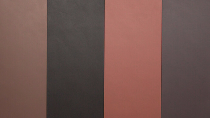 Cassio Michalany. Courtesy of Galeria Raquel Arnaud