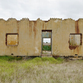 Dillon Marsh. Courtesy of Gallery MOMO