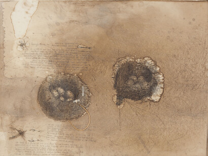 Courtesy Ricardo Brey & Galerie Nathalie Obadia Paris / Brussels © We Document Art