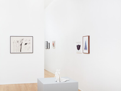 Various artists, Fringe figure, exhibition view. Courtesy of Andrew Rafacz 