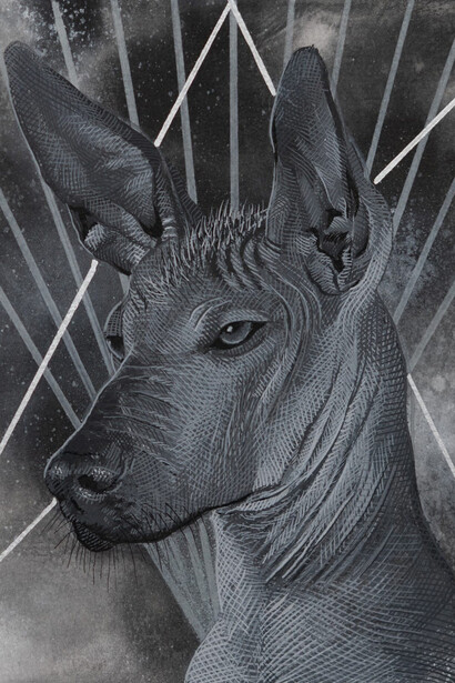 Abel Alejandre, Xolo no.9, 2025. Courtesy of Launch Gallery