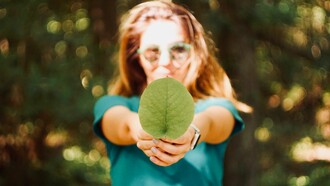Valores éticos na sociedade de consumo 