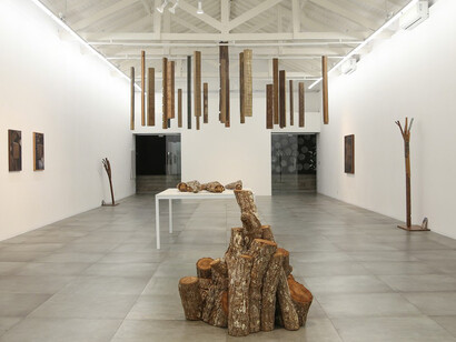 Marcelo Zocchio. Courtesy of Bolsa de Arte