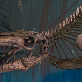 Dinosaur Hall. Courtesy of Royal Tyrrell Museum