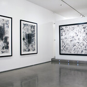 Jorge Mara - La Ruche