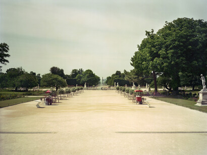Ambroise Tézenas, Jardin des Tuileries, 2013, C-print, encadrement bois, Edition 1/5 + AP, Format 44 x 51 cm (image 24 x 30 cm)