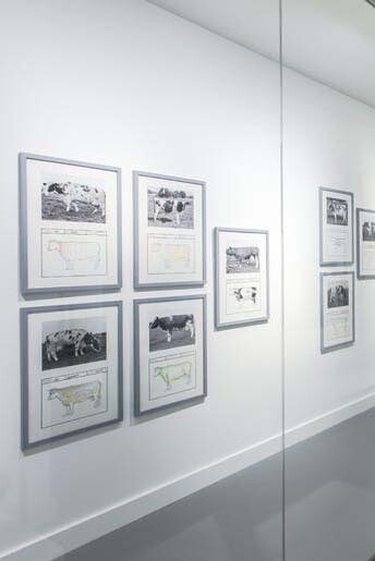 Jef Geys. Courtesy of M HKA