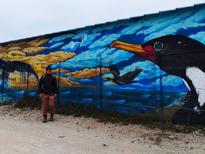 Murales de la fauna marina en Punta de Choros en la Región de Coquimbo, Chile