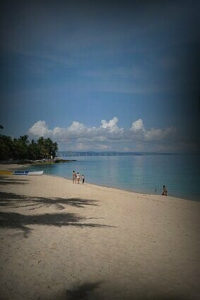 Palm tree shade in Saud Beach, Pagudpud, Philippines 