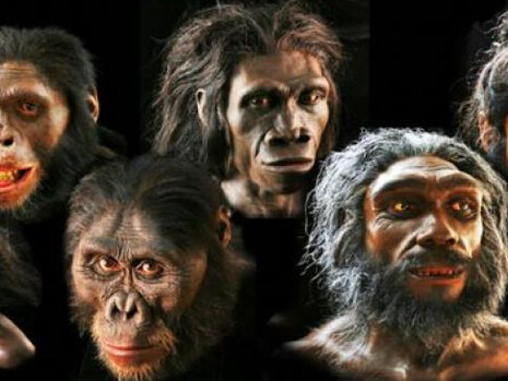 David H. Koch Hall of Human Origins. Courtesy of Smithsonian's National Museum of Natural History