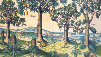 Frutas orientais em Jan Huygen van Linschoten, Itinerário, viagem ou navegação de Jan Huygen van Linschoten para as Índias Orientais ou portuguesas. Edição preparada por Arie Pos e Rui Manuel Loureiro, Lisboa, CNCDP, 1997