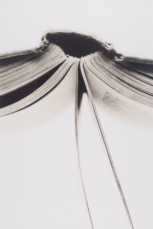 Bibliophile. Courtesy of Panopticon Gallery